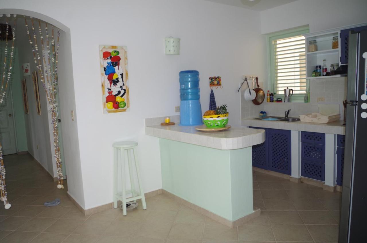 Little Paradise In Middle Of Beautiful Beaches! Las Terrenas Extérieur photo